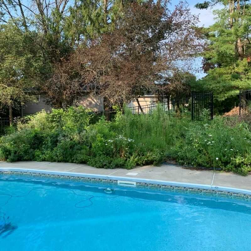 Top Quality Landscaping Services in Schenectady, NY-M&M landscaping & maintenance (57)