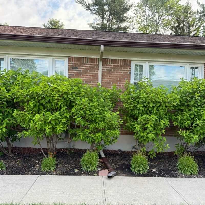 Top Quality Landscaping Services in Schenectady, NY-M&M landscaping & maintenance (74)