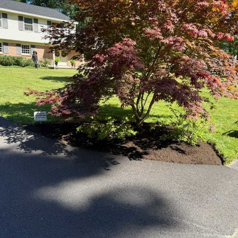 Top Quality Landscaping Services in Schenectady, NY-M&M landscaping & maintenance (79)