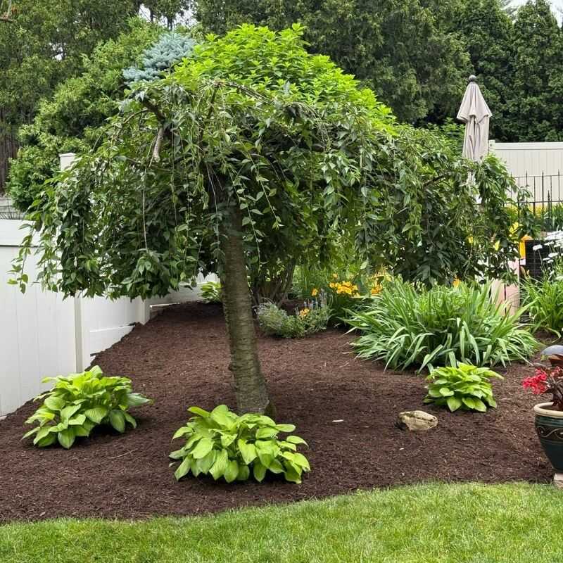 Top Quality Landscaping Services in Schenectady, NY-M&M landscaping & maintenance (96)