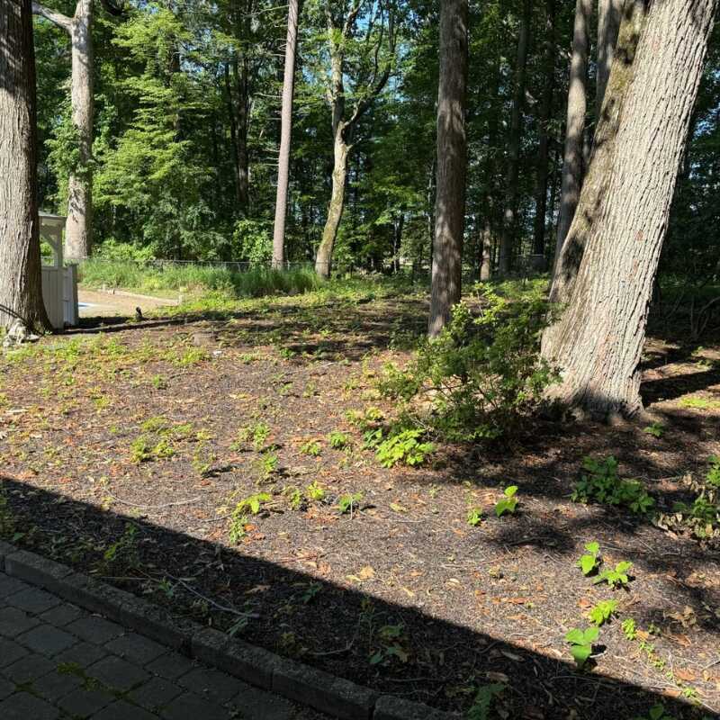 M&M Landscaping in Schenectady, NY (4)