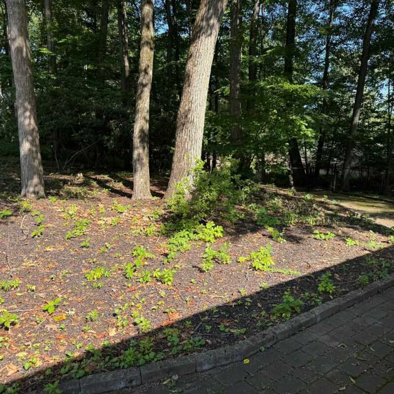 Top Quality Landscaping Services in Schenectady, NY-M&M Landscaping & Maintenance 203 (2)