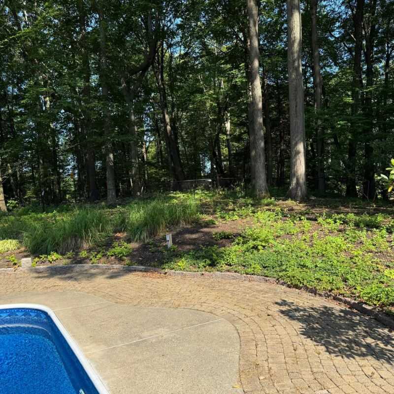 Top Quality Landscaping Services in Schenectady, NY-M&M Landscaping & Maintenance 203 (4)